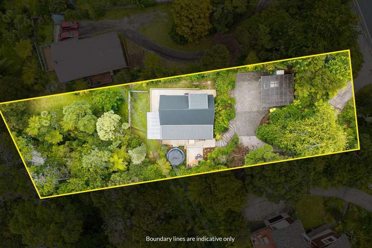 59 Don Buck Road Massey_18