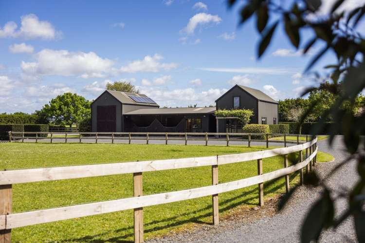 441C Marychurch Road Matangi_7