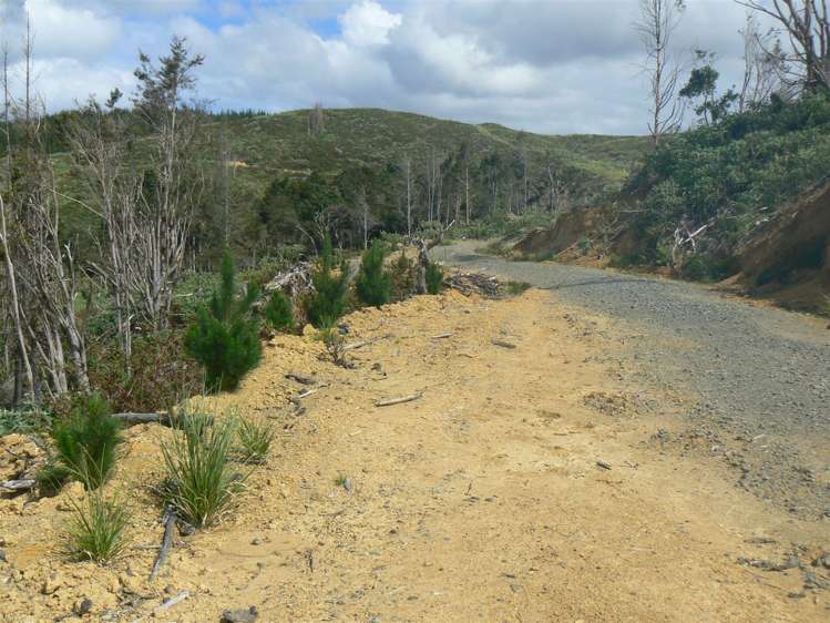 Taheke Road Horeke_17