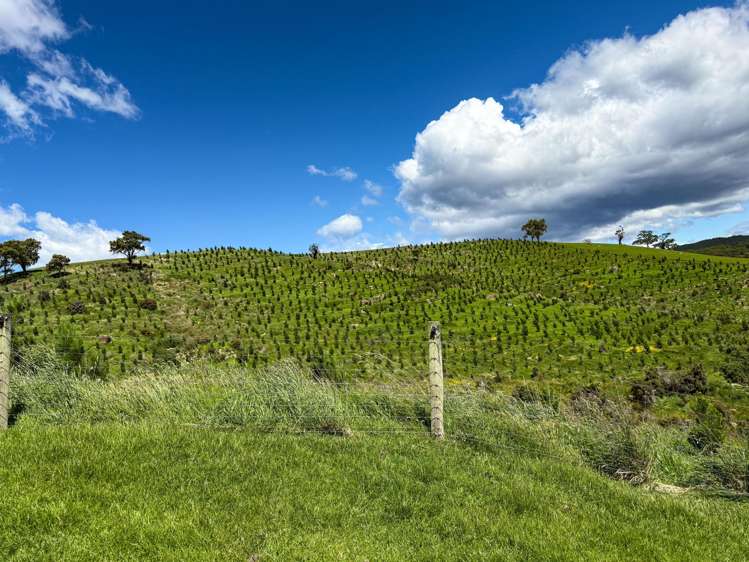 21 Lillburn Valley Road Clifden_13