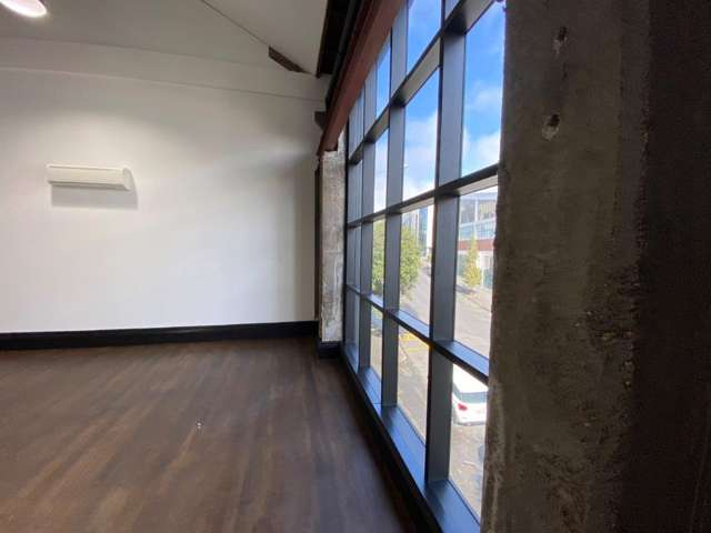 1 Faraday Street Parnell_4