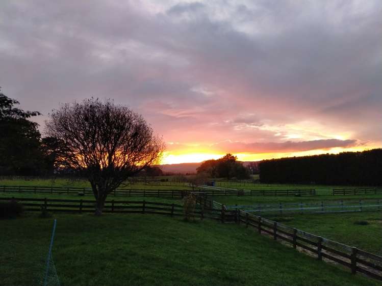207b Peers Road Kaimai_25