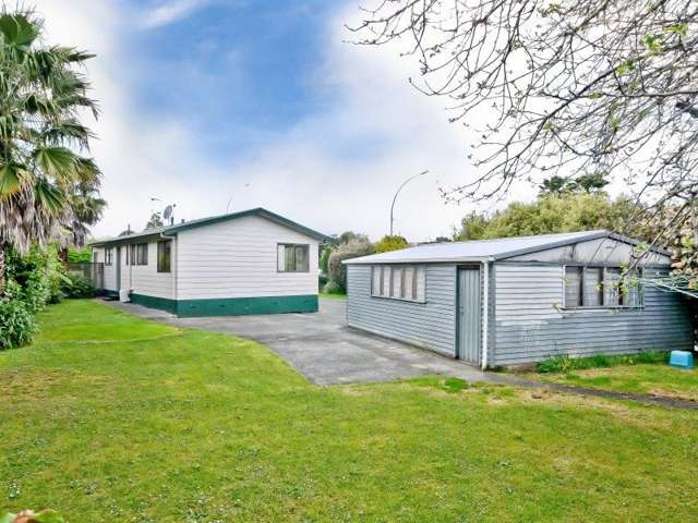 205 Newcastle Road Grandview Heights_2