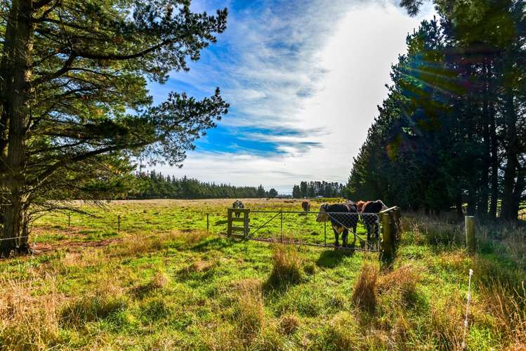 352 Knyvetts Road Southbridge_22