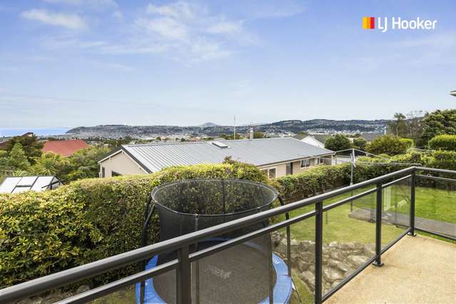 244 Larnach Road Waverley_1