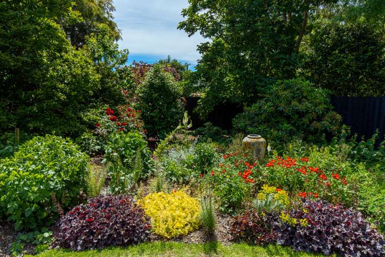 33 David Street Yelverton_17