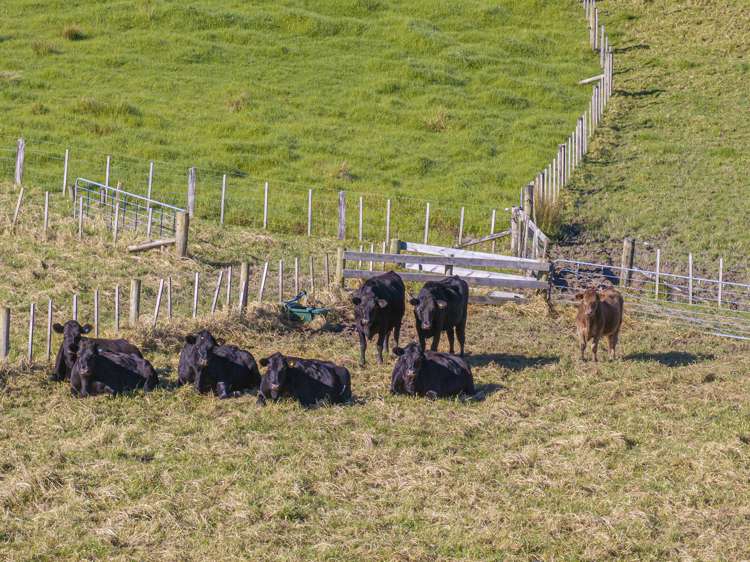 1115B Ahuroa Road Puhoi_17