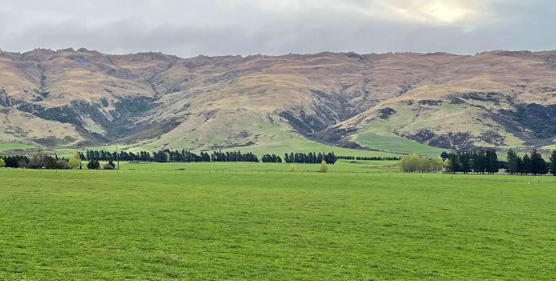 626 Gladbrook Road Middlemarch_0