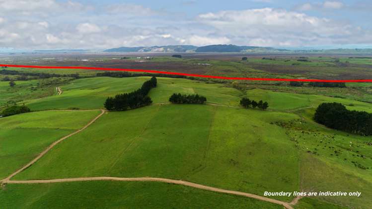 44 Black Road Te Kauwhata_18