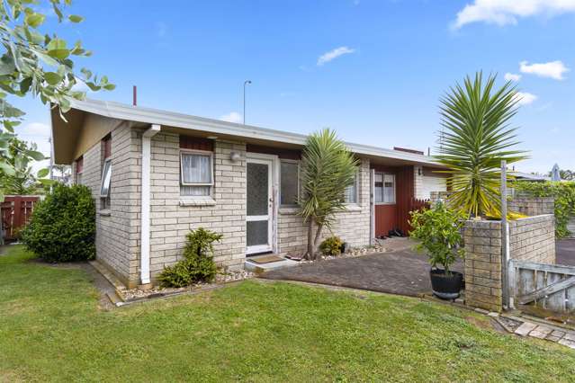 10b Taupo Avenue Mount Maunganui_2