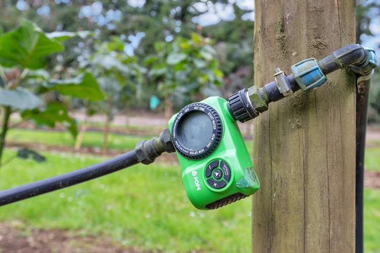 36 Elmsley Road Maungatapere_39