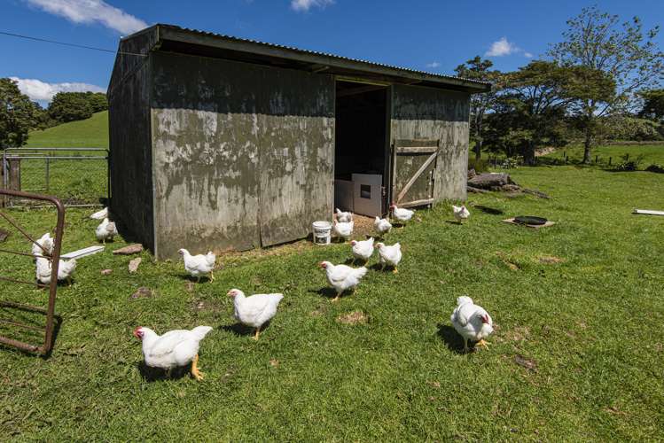 106 Mcbreen Road Hikurangi_23