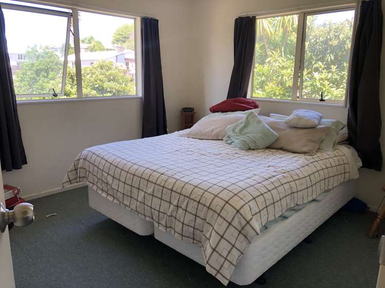 1/24 Ludlow Terrace Totara Vale_3