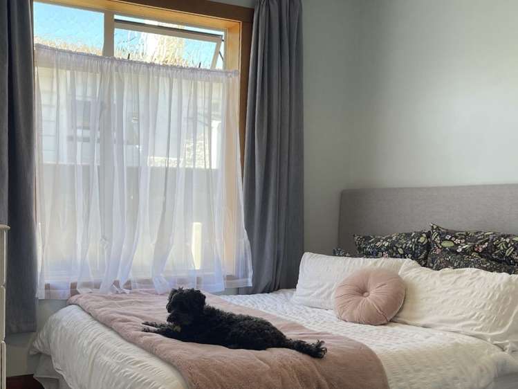 127 Waghorne Street Ahuriri_7