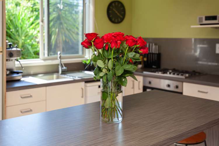 4b Garnet Drive Papamoa_9