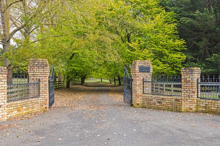 835 Mount Stewart Halcombe Road Halcombe_27