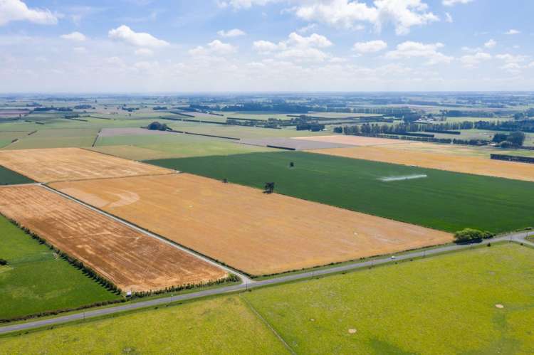 Selwyn Lake Road Leeston_10