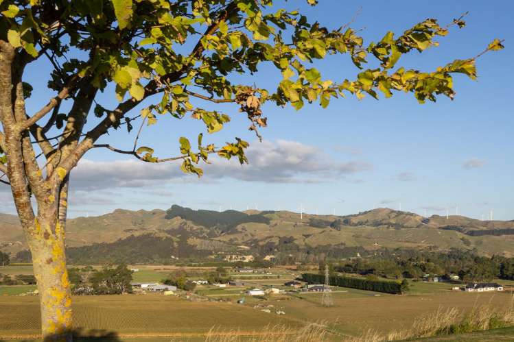 53 Memory Lane Ashhurst_7