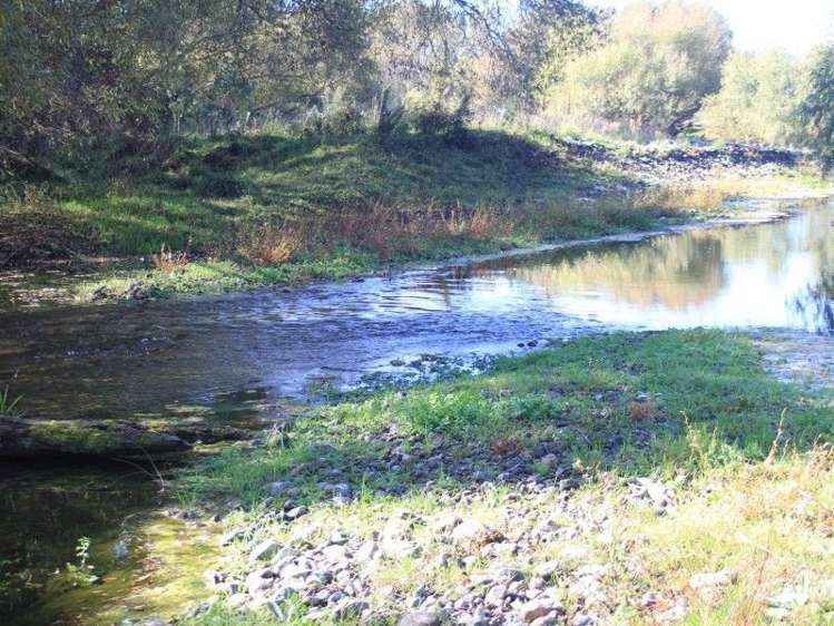 327 Bluff Rangitumau Road Rangitumau_28