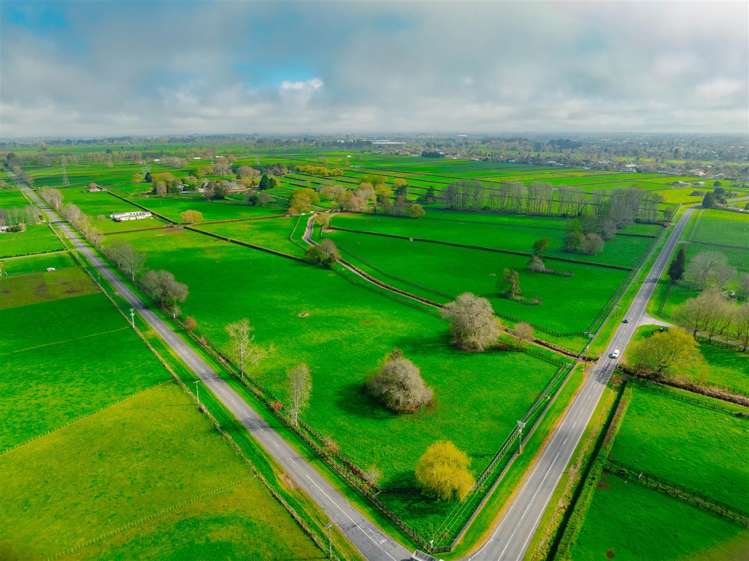 122 Rotoorangi Road Cambridge_22