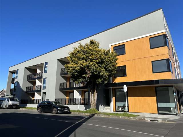 G03/1a Kings Road Mount Roskill_1