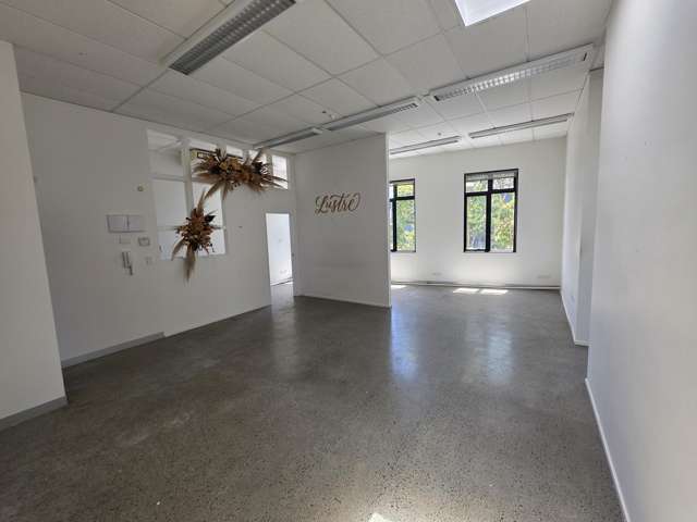 483 Richmond Road Grey Lynn_1