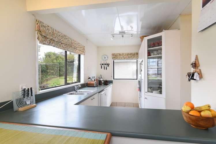 207 Larnach Road Waverley_12