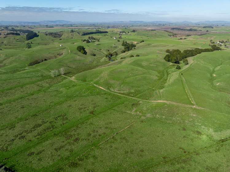 485 Chapman Road Pukekawa_23