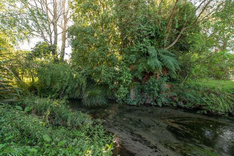 11 John Road Fairy Springs_17