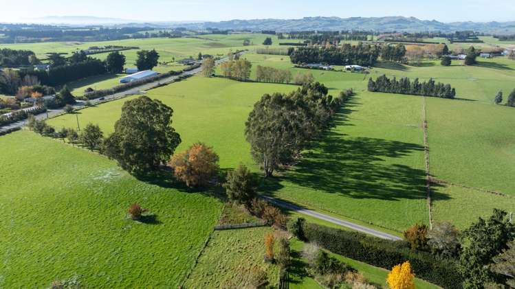 297 and 299 Waimumu Road_5