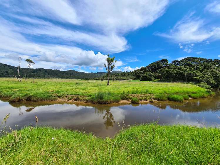 602 Port Charles Road Waikawau_6