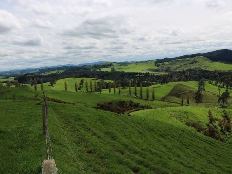 196 Hildreth Road Arapuni_20