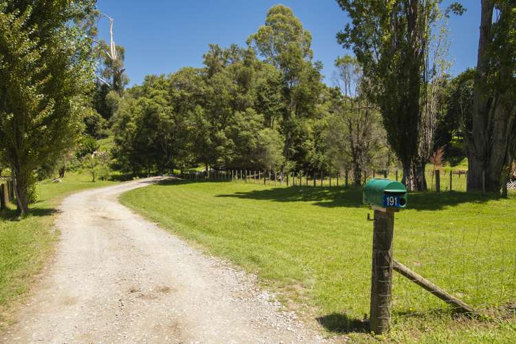 191 Valley Road Mangapapa_2