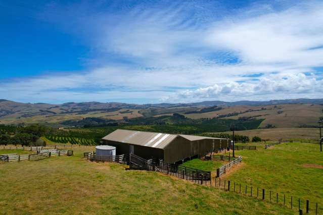 413 Monteith Road Dargaville Surrounds_1