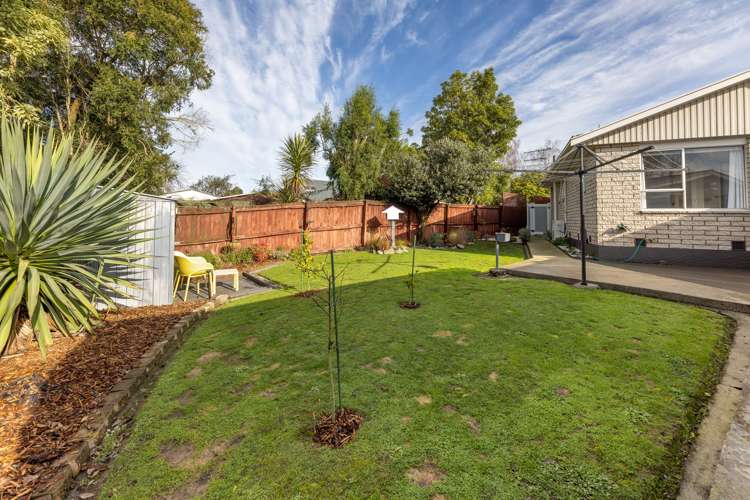 24 Jenkins Avenue Redwood_23