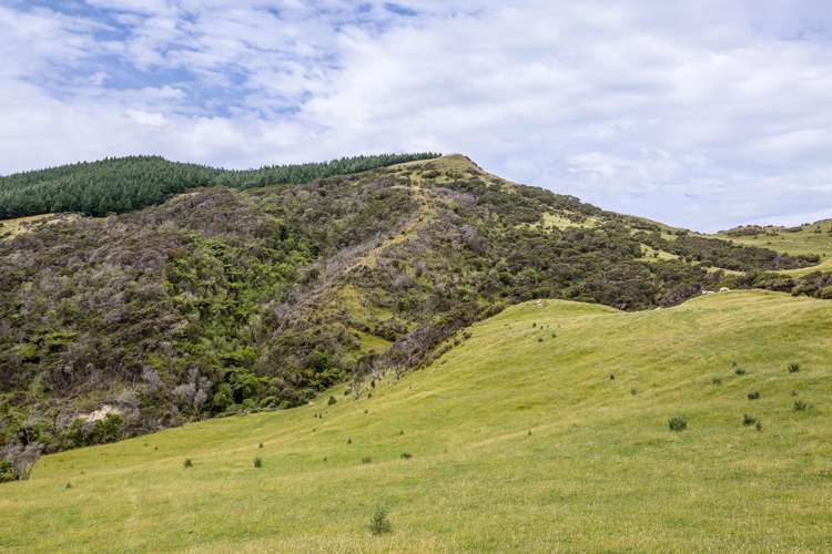 671 Saunders Road Tiraumea_22