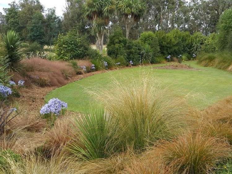 135 Seven Sisters Road Waitohi_11