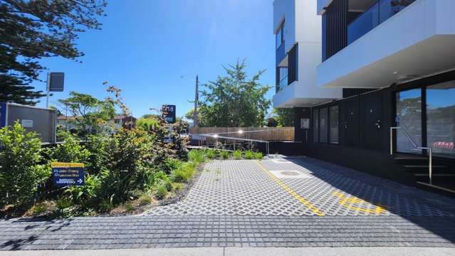 218A Manukau Road Epsom_2