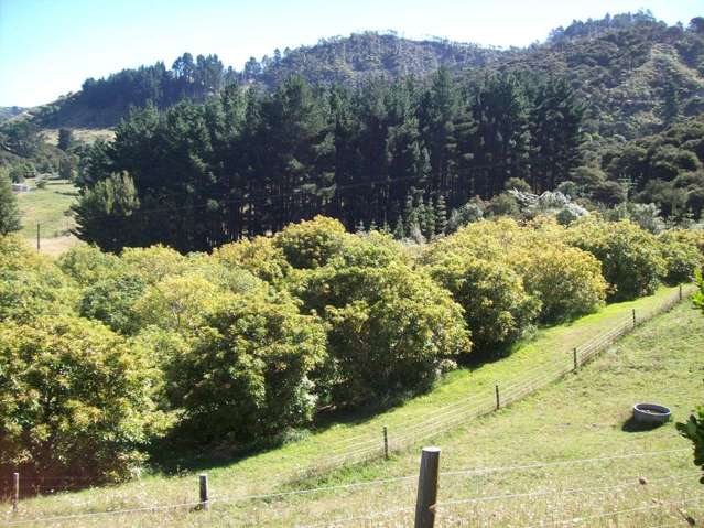 52 Wolseley Road Hauraki Surrounds_2