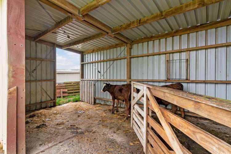 1096B Awhitu Road Waiuku_34