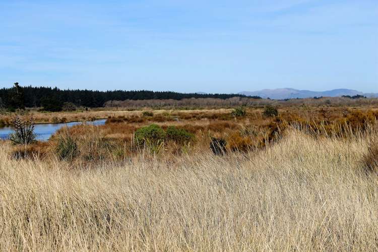 64 Te Kohanga Drive Pegasus_4