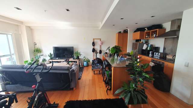 10 Ronayne Street Auckland Central_3