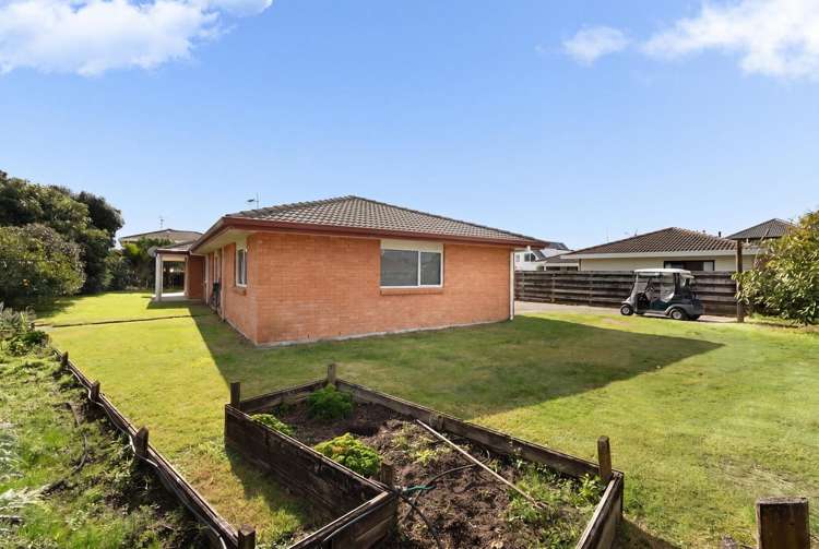 41 Matapihi Road Mt Maunganui_8
