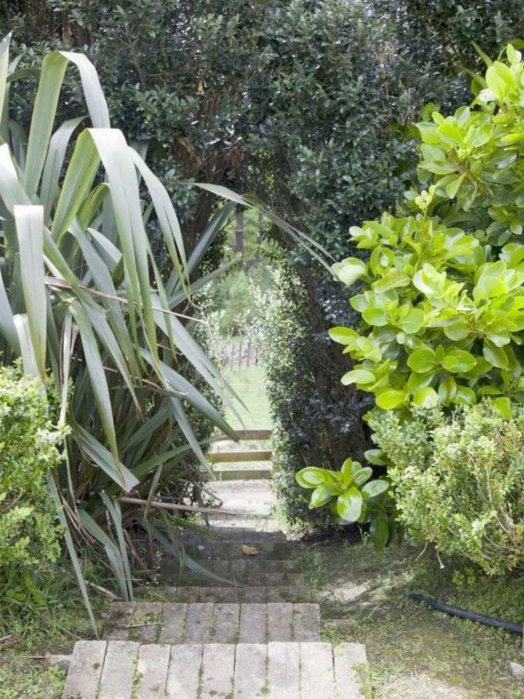 36 Cashmere Drive Fitzherbert_19