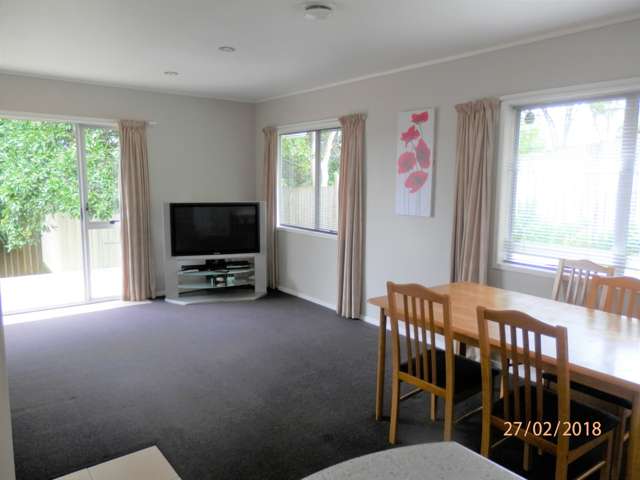 2/23 Frost Road Mount Roskill_4