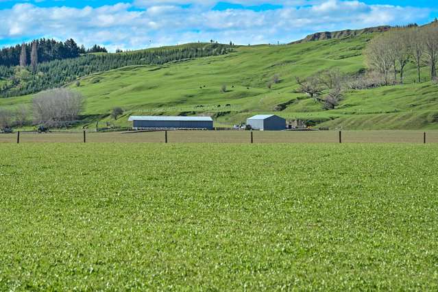 1269 Elsthorpe Road Patangata_4