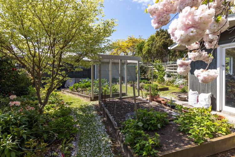 14 Rousehill Street Renwick_23