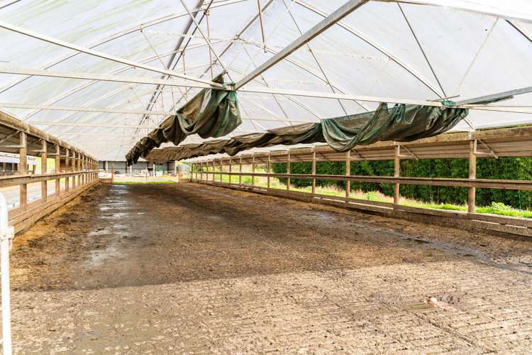 412 Pukehuia Road Tangiteroria_11