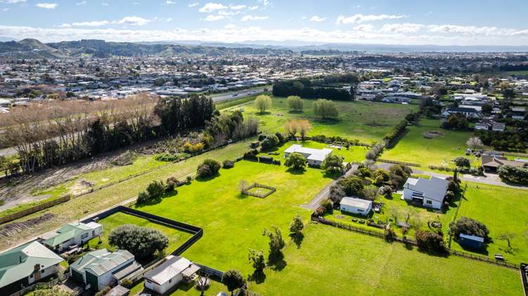 7b Gordon Street Jervoistown_5