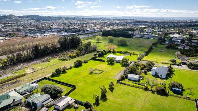 7b Gordon Street Jervoistown_2